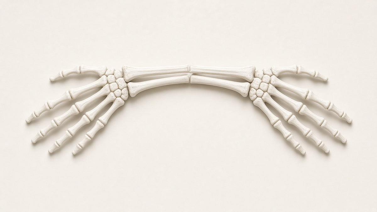 Glow Skeleton Arms